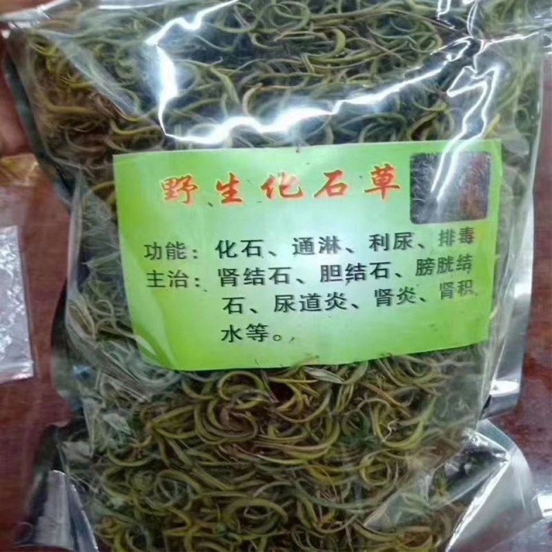 化石草中药云南化石草野生排石化石草正品紫蓝草50