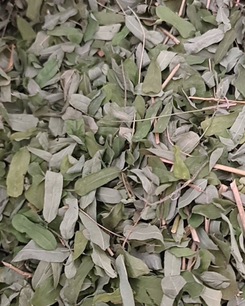 广西金秀大瑶山土特产鸡骨草干货，整枝切片