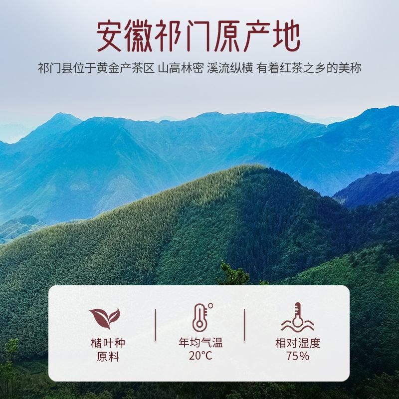 核心原产地祁门红茶