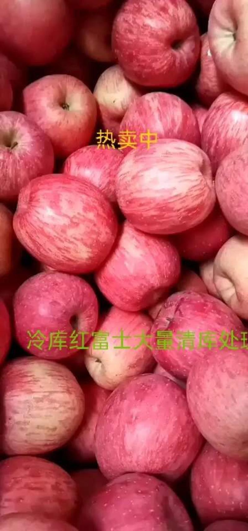 红富士苹果山东苹果-甜美中国-承接各大商超电商平台