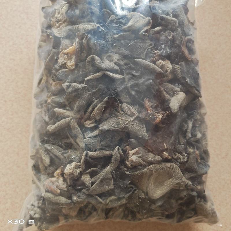 广西金秀大瑶山，甜竹笋，苦笋，自然烘干，笋干