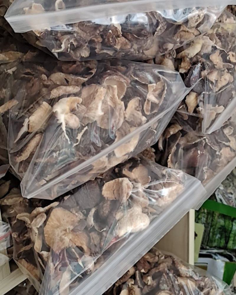 广西金秀大瑶山，特产，椴木香菇