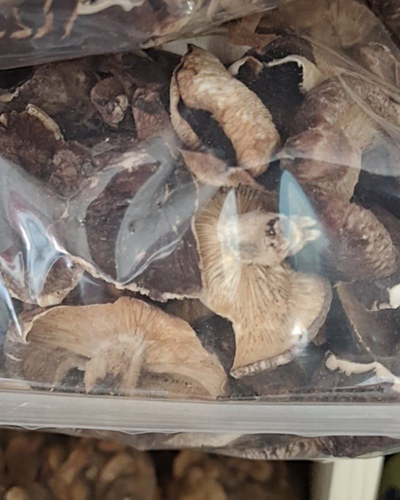 广西金秀大瑶山，特产，椴木香菇