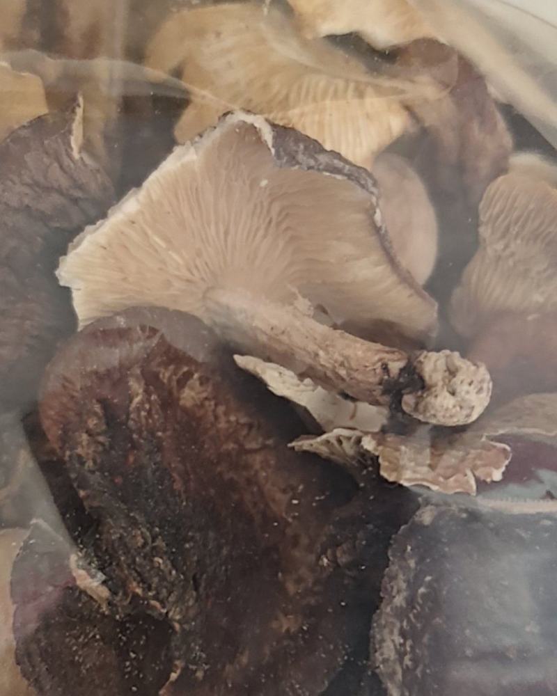 广西金秀大瑶山，特产，椴木香菇