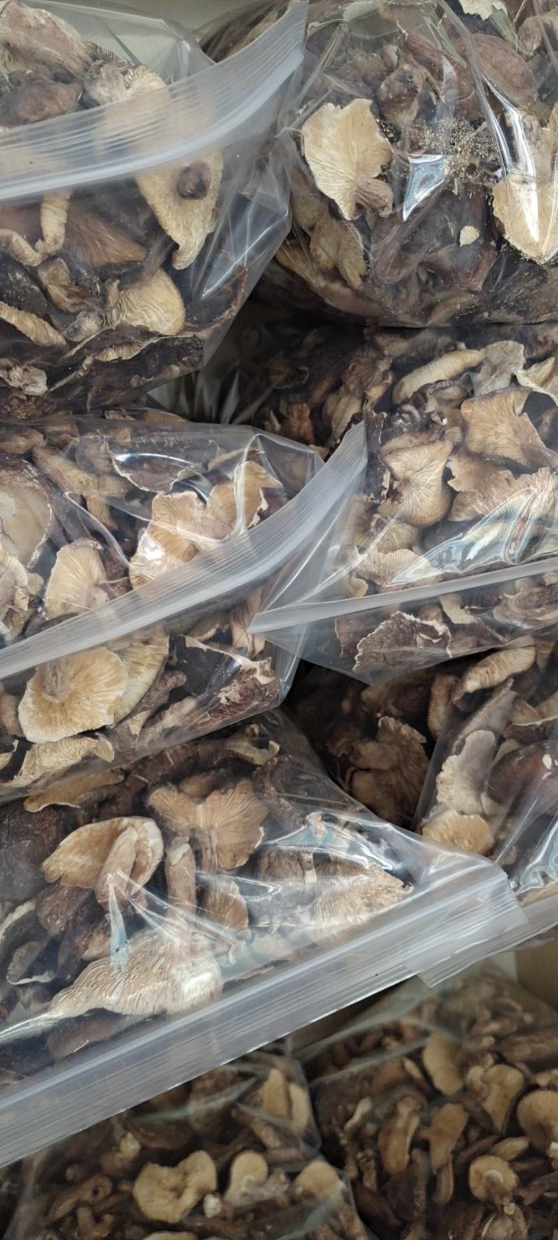 广西金秀大瑶山，特产，椴木香菇