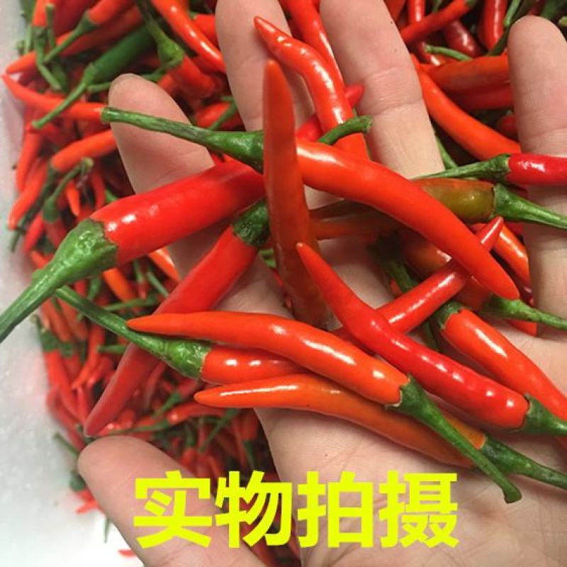 新鲜小米椒超辣泰椒自剁酱特辣朝天椒小米辣红小尖椒一件代发