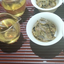 普洱茶