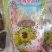 新疆西域珍品天山雪莲花量大优惠一支也包邮