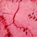 本园西瓜正在热卖中