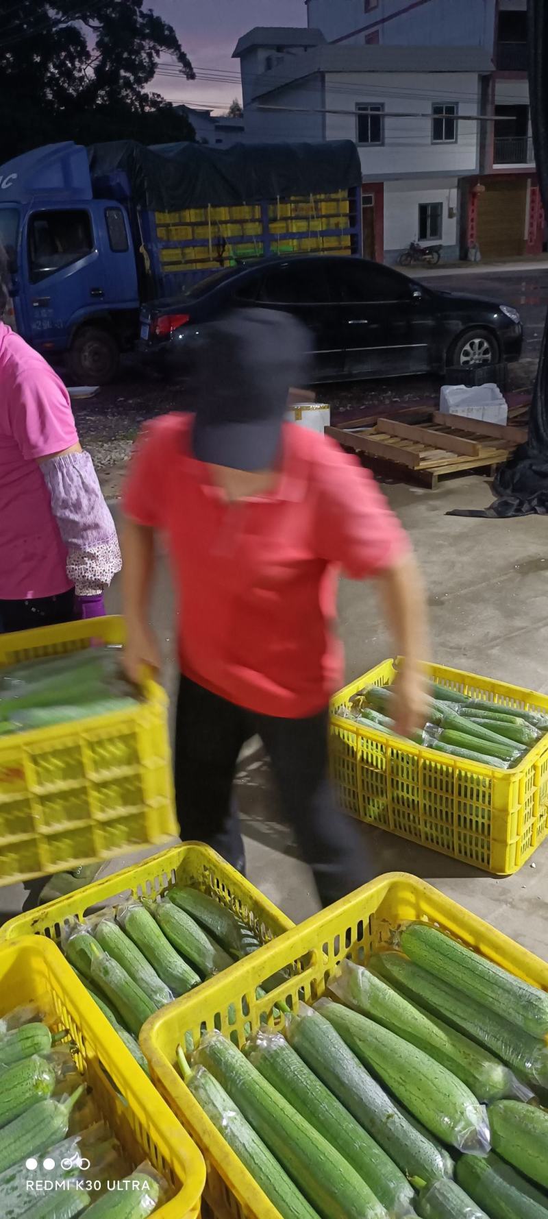 青丝瓜横县丝瓜青皮水瓜水丝瓜肉丝瓜无棱丝瓜套水瓜