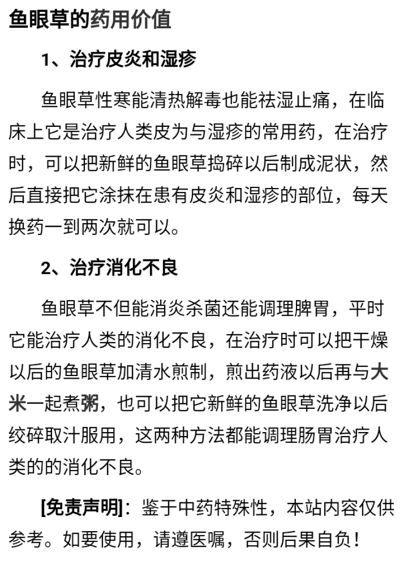 新鲜中草药材野生鱼眼草三仙菜星宿草地胡椒