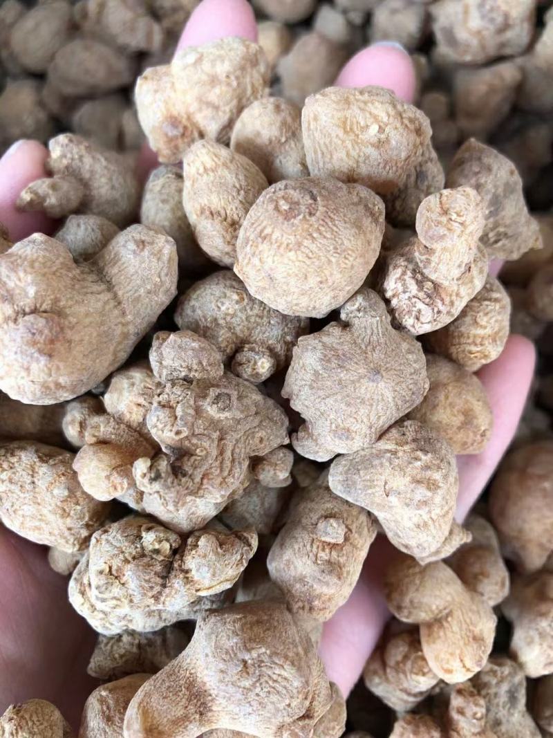 珠子参批发零售均可量大从优常年经营各种中药材