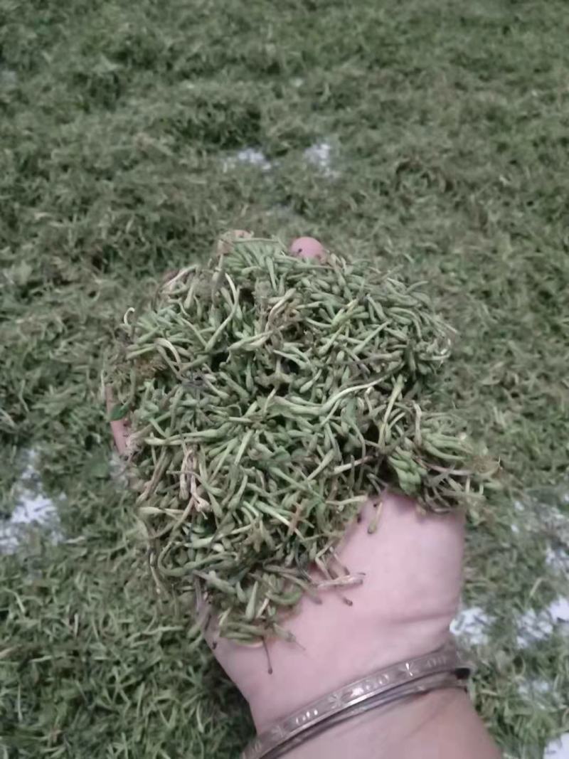 中药花类