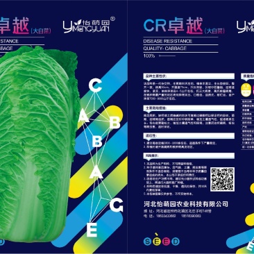 精品大白菜种子接受订单