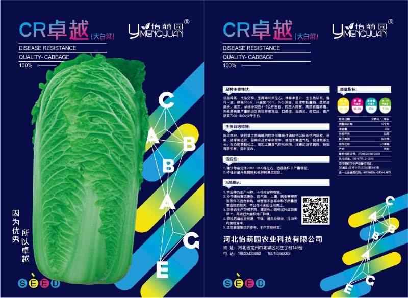 精品大白菜种子接受订单