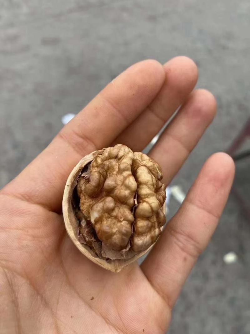 薄皮核桃，果粒饱满，香脆可口，自产自销