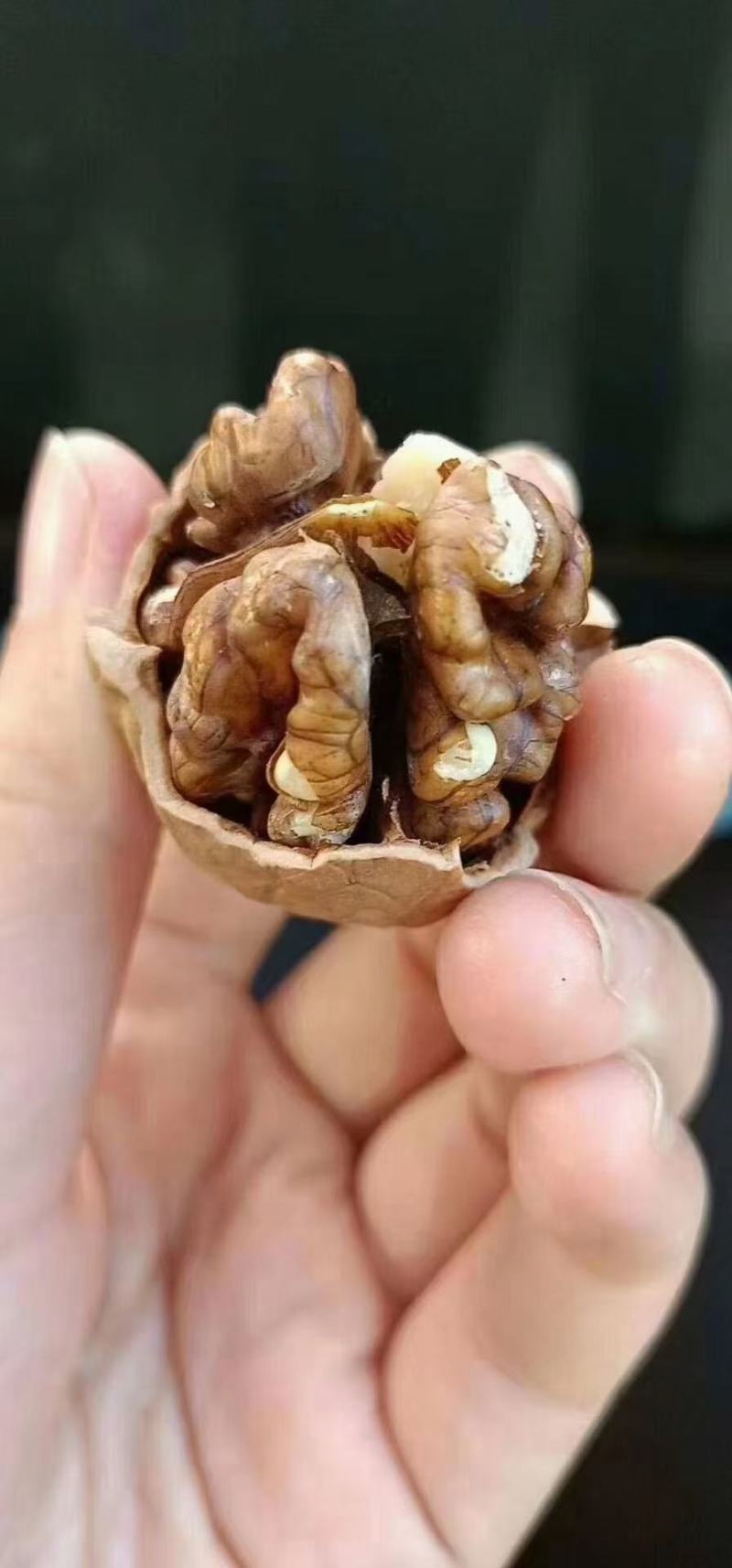 薄皮核桃，果粒饱满，香脆可口，自产自销