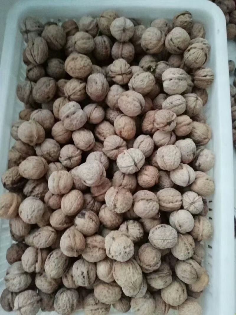 薄皮核桃，果粒饱满，香脆可口，自产自销