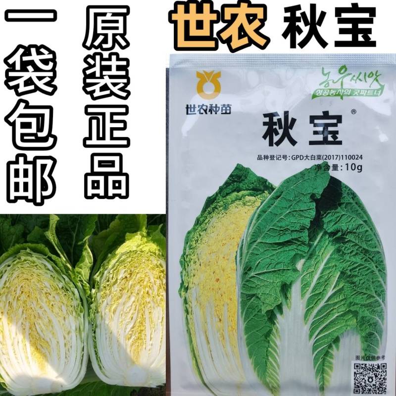 世农种苗秋宝白菜种子，秋宝韩国进口早熟黄心黄芯秋播