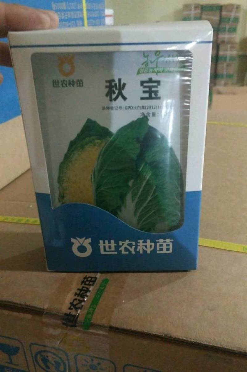 世农种苗秋宝白菜种子，秋宝韩国进口早熟黄心黄芯秋播