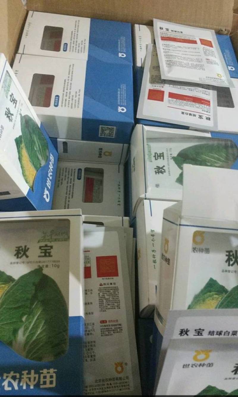 世农种苗秋宝白菜种子，秋宝韩国进口早熟黄心黄芯秋播