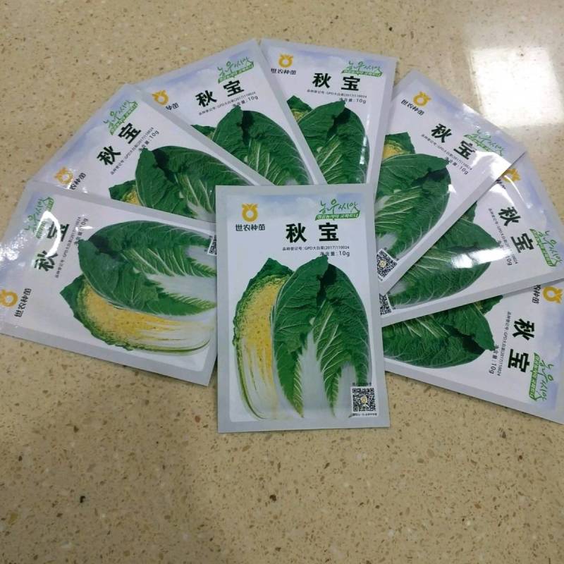 世农种苗秋宝白菜种子，秋宝韩国进口早熟黄心黄芯秋播