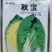 世农种苗秋宝白菜种子，秋宝韩国进口早熟黄心黄芯秋播