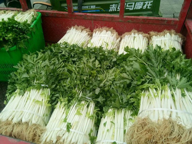 白芹菜（新鲜白芹菜实心现货供应）