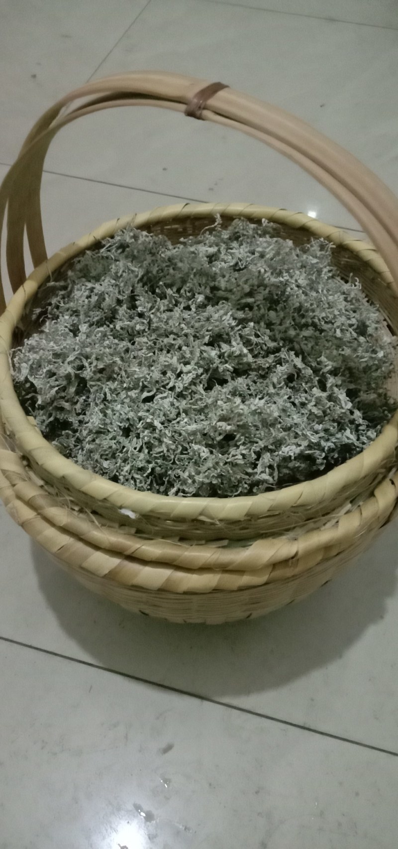 藤茶