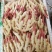 生姜（新鲜生姜现货供应）