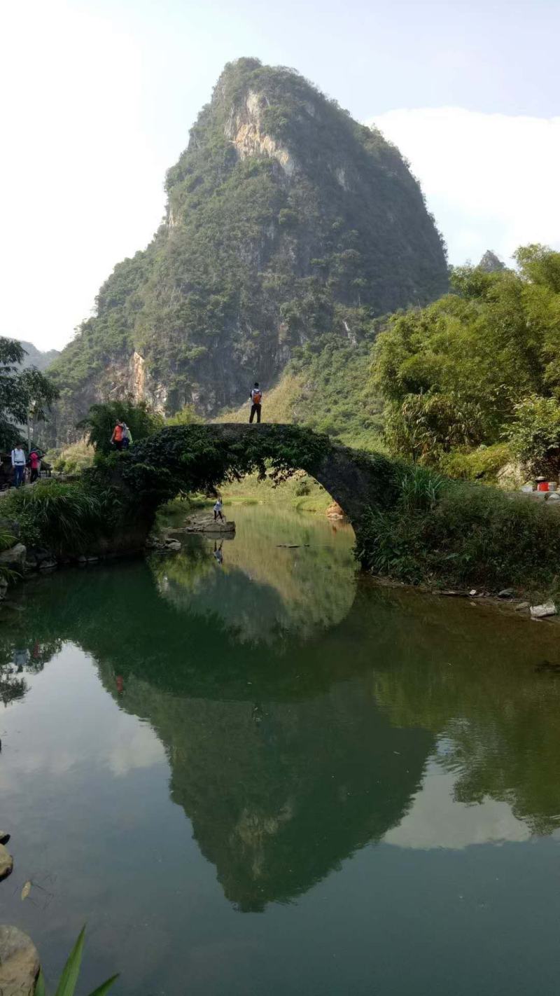 九龙黄金豆腐，山泉水制作，囗感嫩滑，豆香盈口！