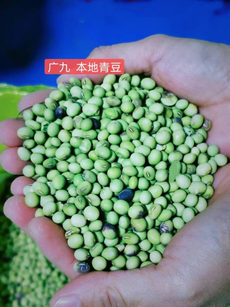 九龙黄金豆腐，山泉水制作，囗感嫩滑，豆香盈口！