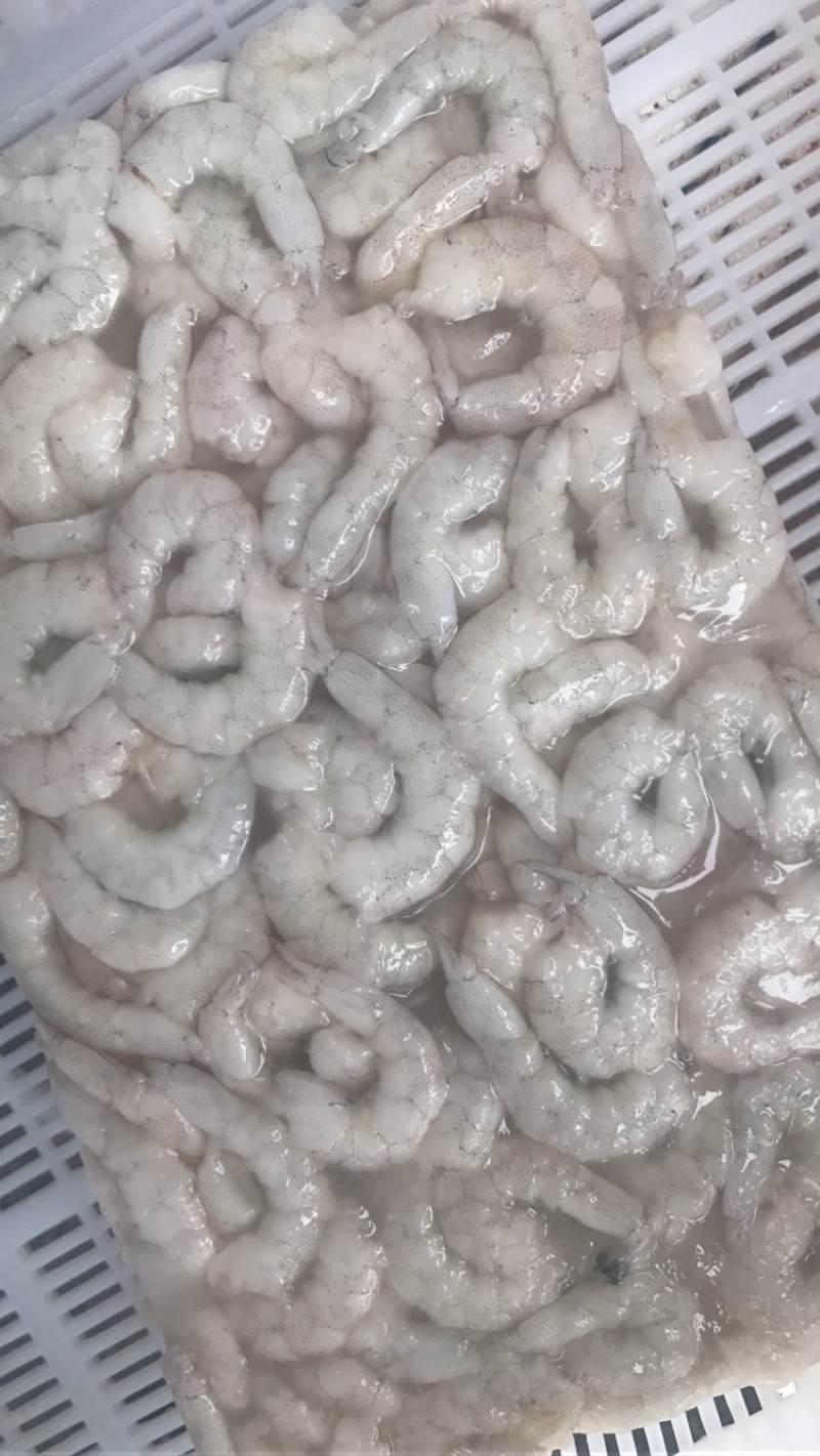 厂批全规格AB级原料虾仁，虾，凤尾虾，加工原料半成可订做