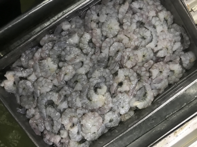 厂批全规格AB级原料虾仁，虾，凤尾虾，加工原料半成可订做