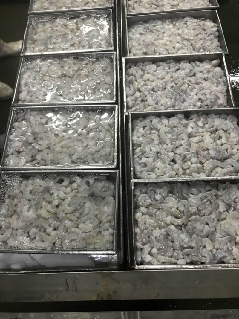 厂批全规格AB级原料虾仁，虾，凤尾虾，加工原料半成可订做