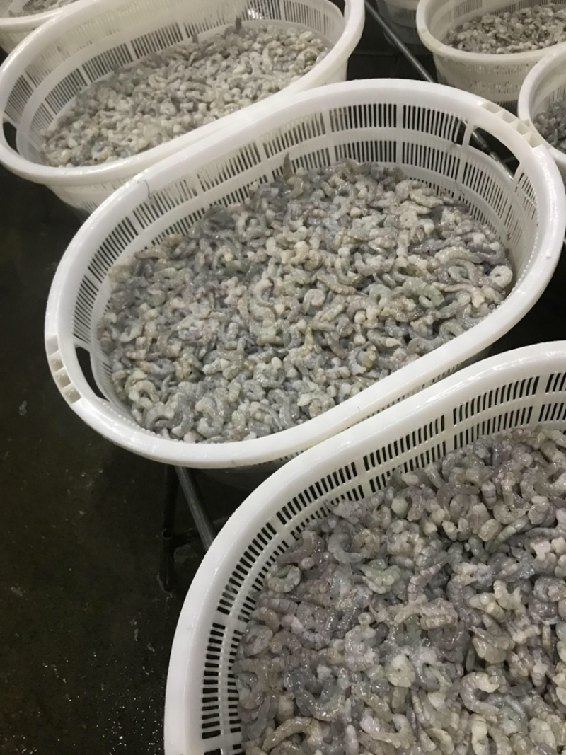 厂批全规格AB级原料虾仁，虾，凤尾虾，加工原料半成可订做
