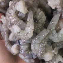 厂批全规格AB级原料虾仁，虾，凤尾虾，加工原料半成可订做