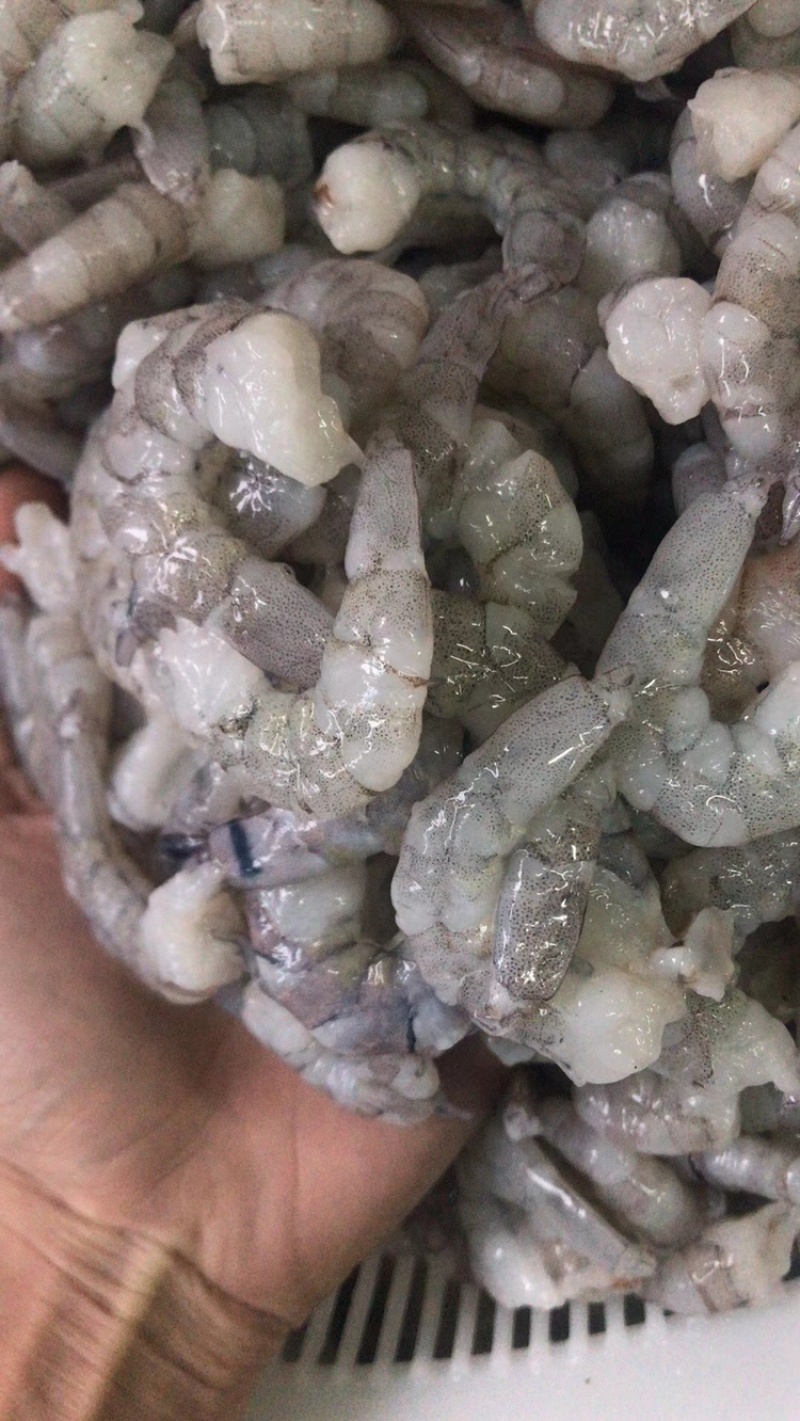 厂批全规格AB级原料虾仁，虾，凤尾虾，加工原料半成可订做