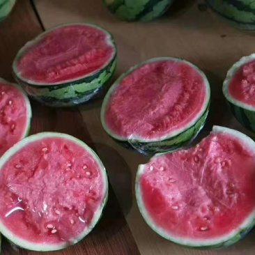 【精品】湖北黄冈团风美都西瓜大量上市皮薄汁多口感脆甜
