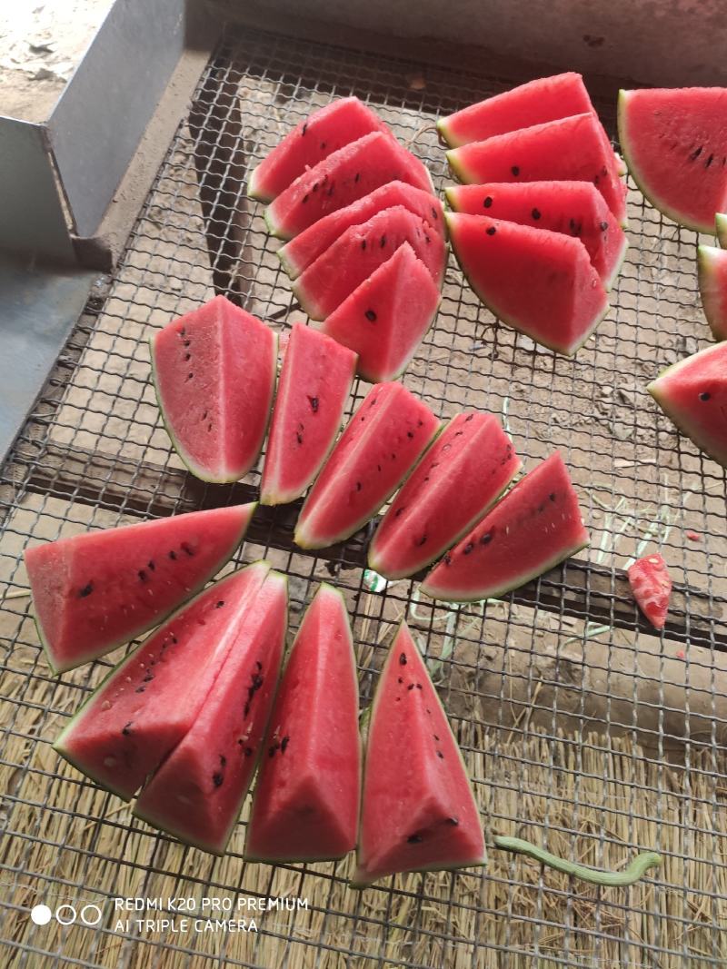 夏邑县精品美都西瓜，一手货源包熟包甜基地大量有货