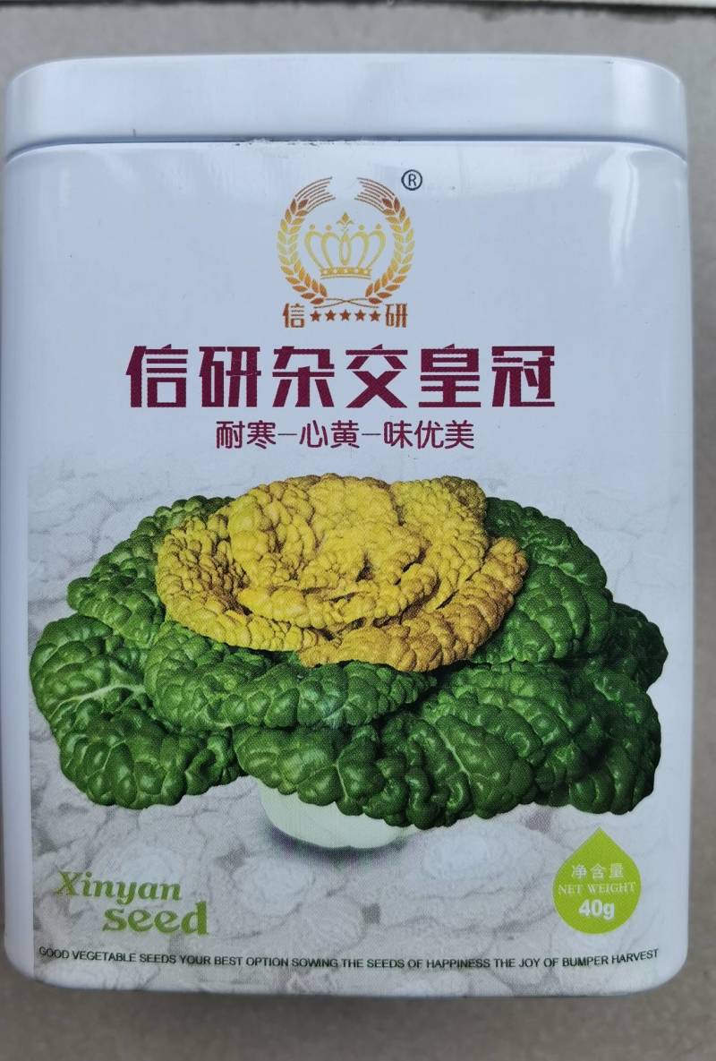 信研杂交皇冠黄心乌种子，黄心菜种子白菜种子