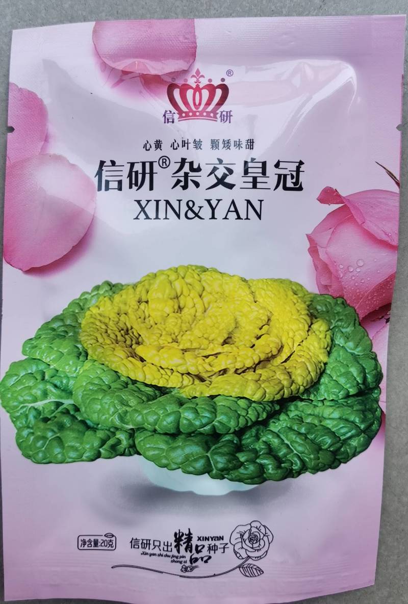 信研杂交皇冠黄心乌种子，黄心菜种子白菜种子