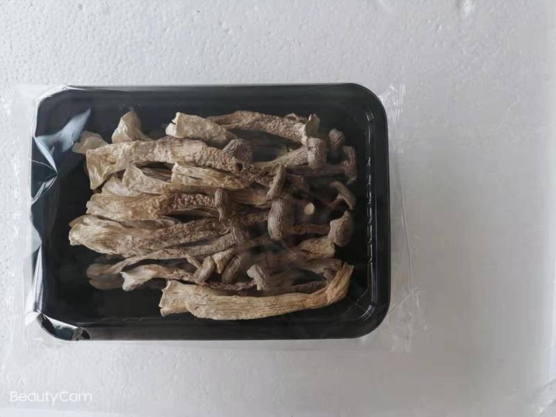 干品鹿茸菇