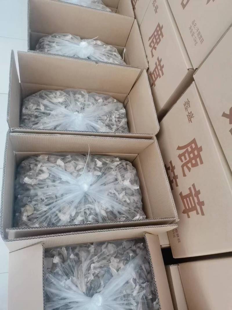 干品鹿茸菇