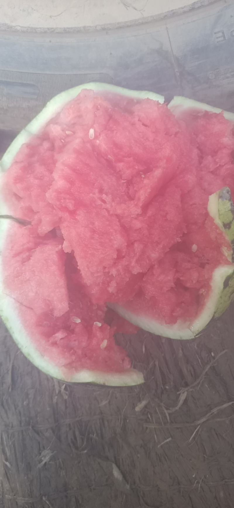 陕西蒲城美都大量上市中需要的联系我