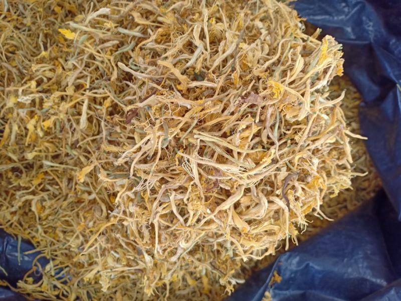 金银花，开花，沂蒙山区里的优质金银花开花，产地直供