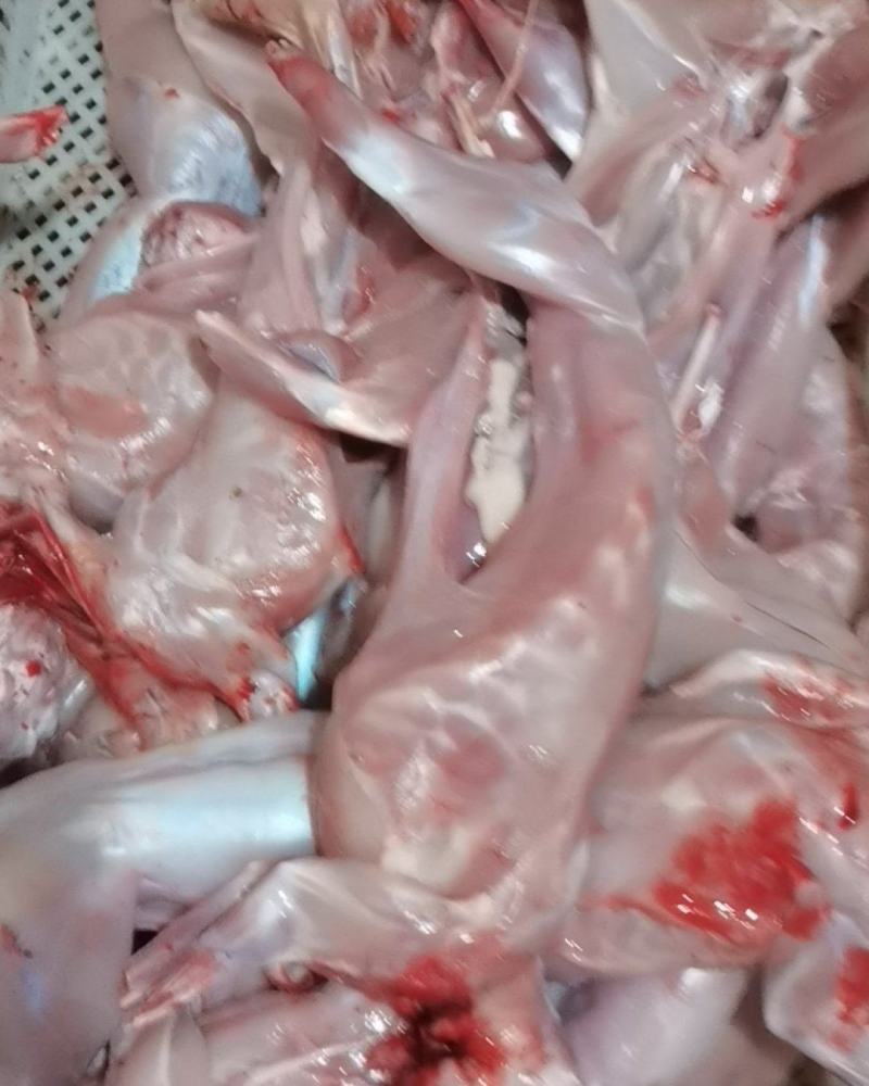 兔肉