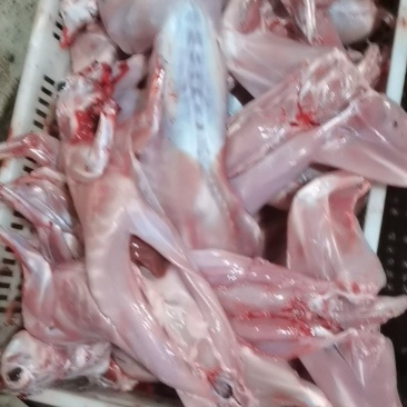 兔肉