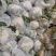甘肃定西市临洮精品新鲜菜花应季蔬菜量大从优