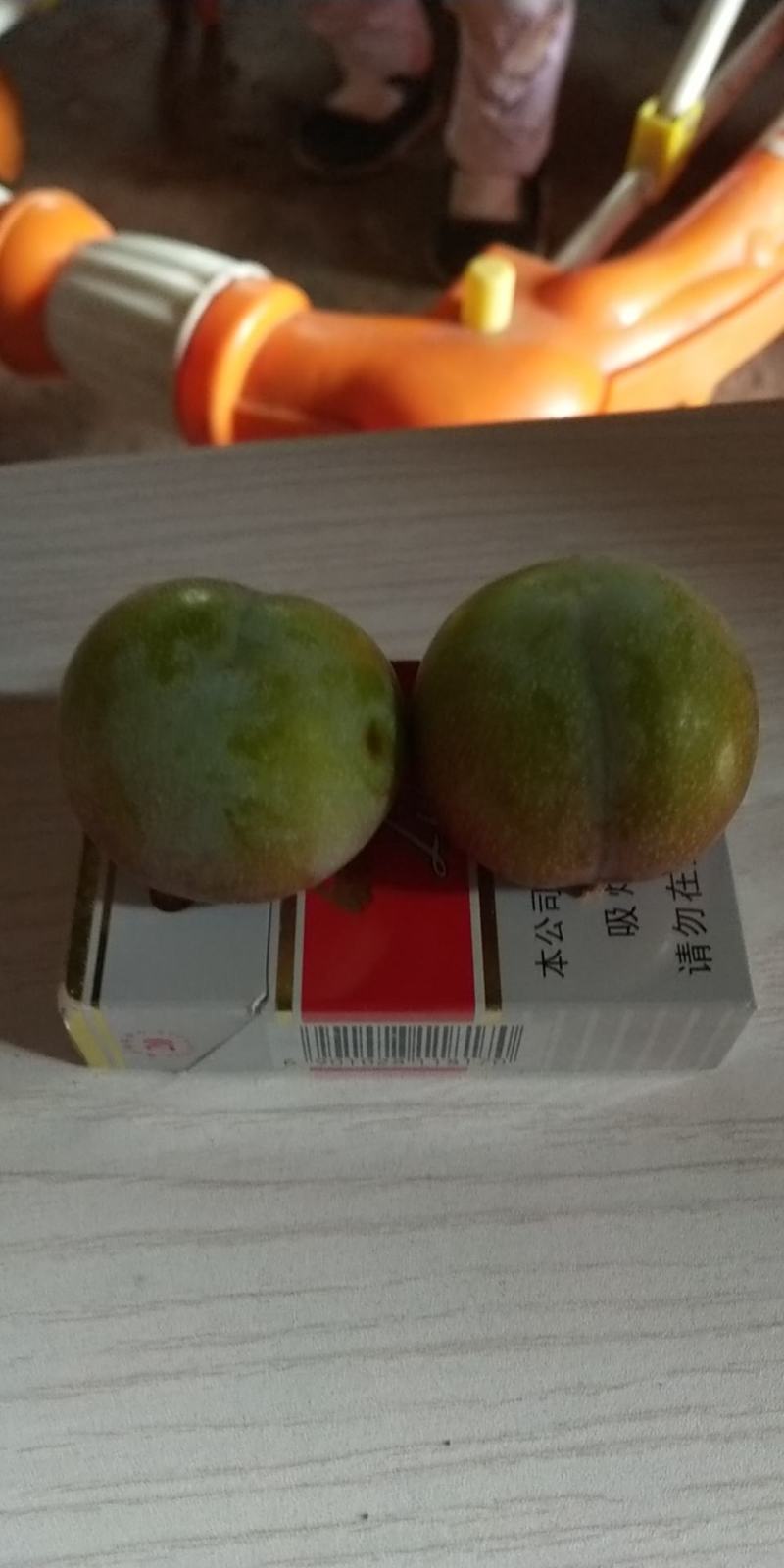 半边红李子，茵红李，